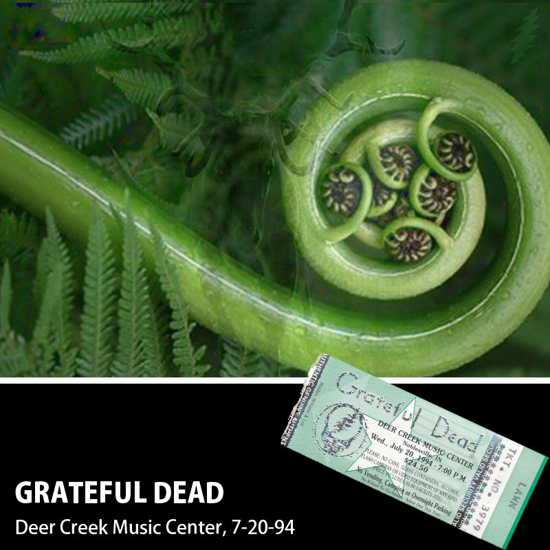 Album Cover for 7/20/1994 https://archive.org/details/gd1994-07-20.140083.FOB.unknown.Gastwirt.Miller.Noel.t-flac1648